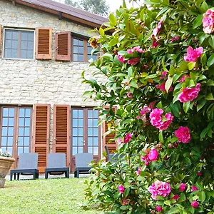 Camelia Tuscany Willa
